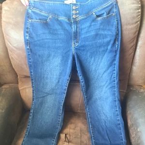 Lane bryant skinny jeans
